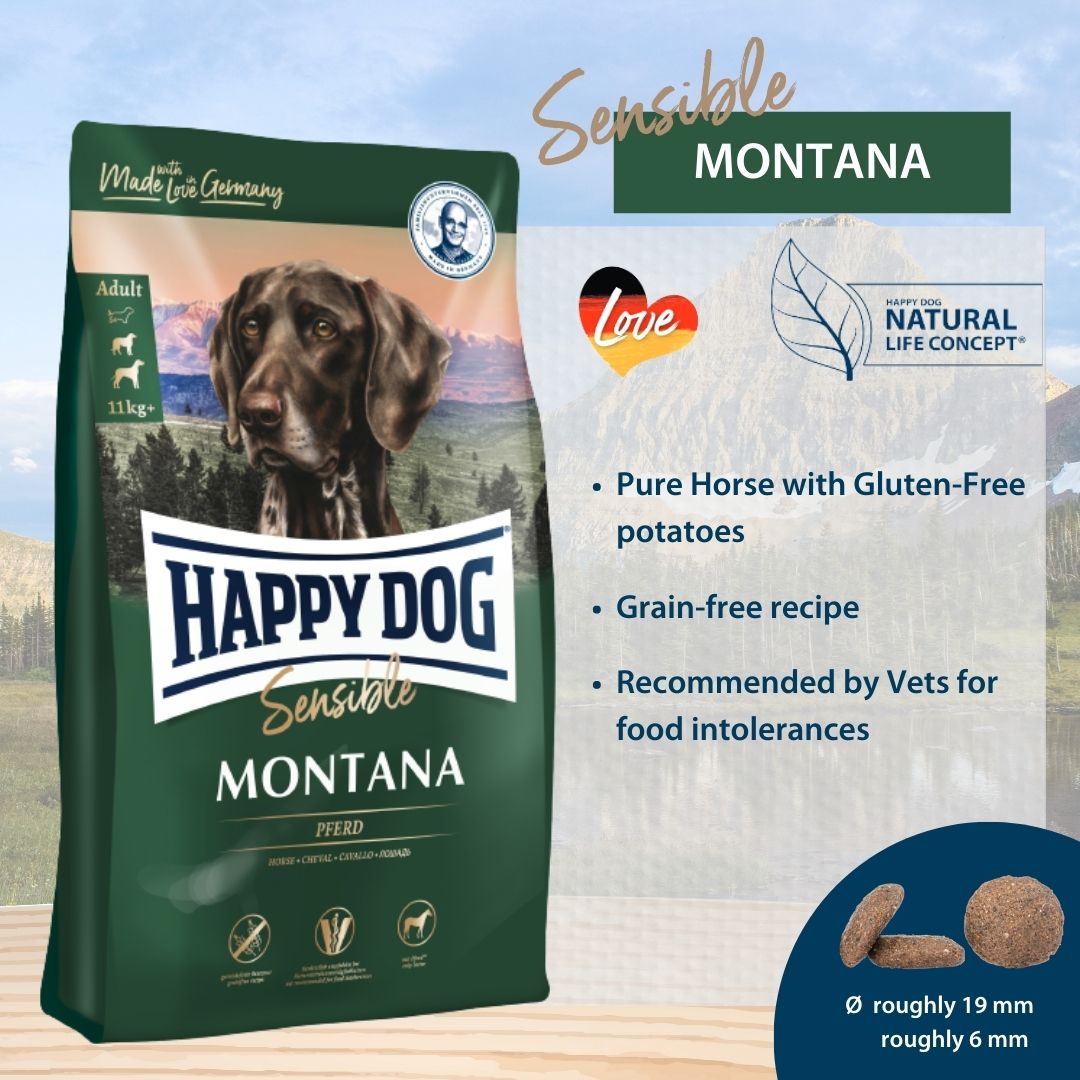 Happy Dog - Sensible Montana with pure horse