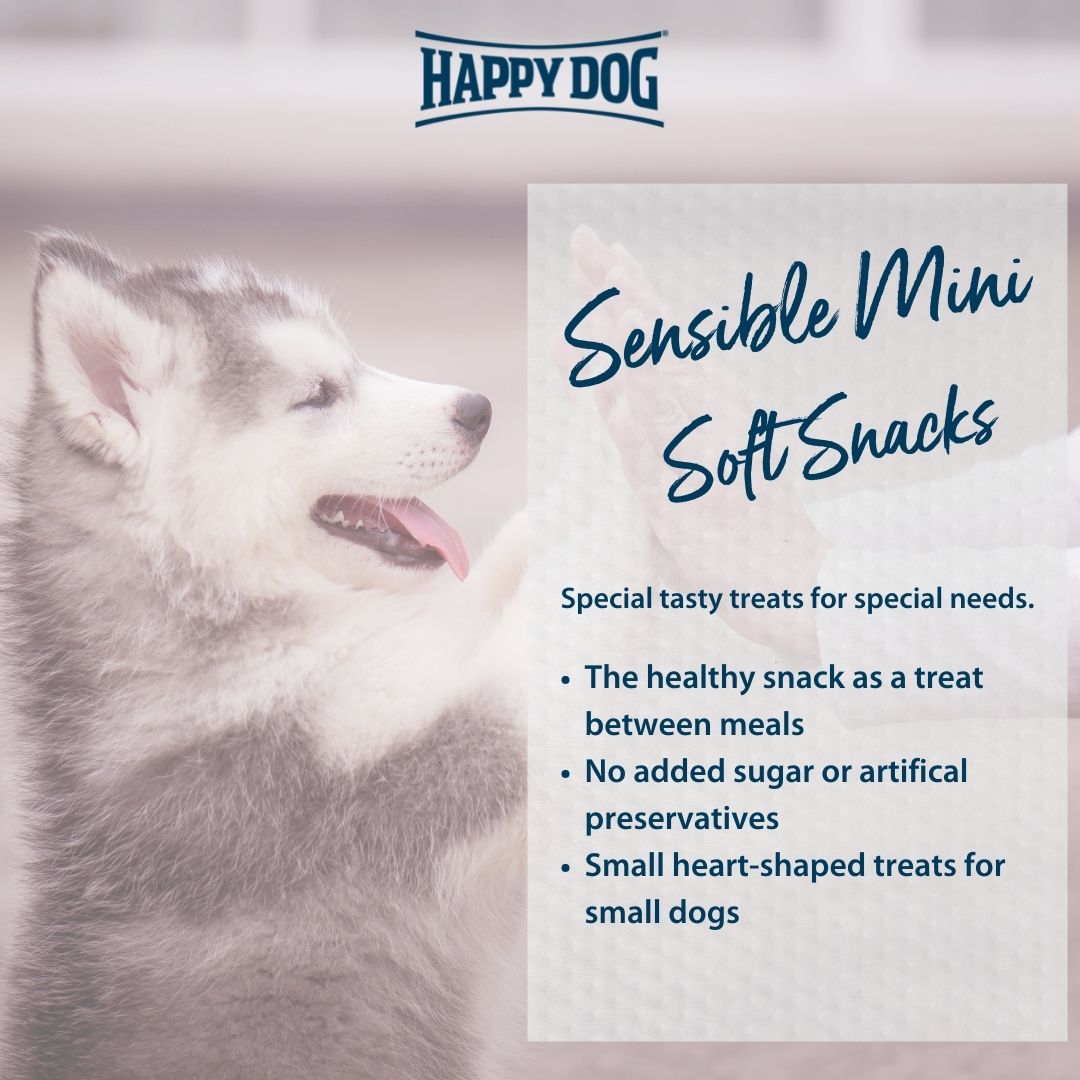 Happy Dog - Sensible Mini Africa - soft snacks