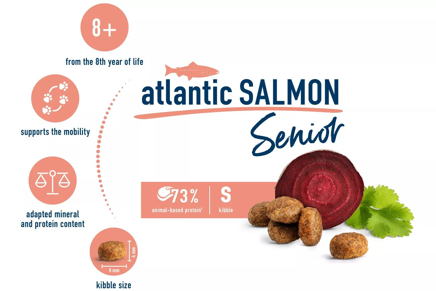 Happy Cat - Senior Atlantic Salmon